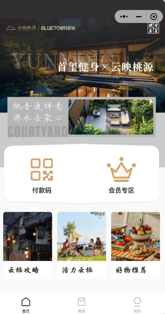 云栖荟